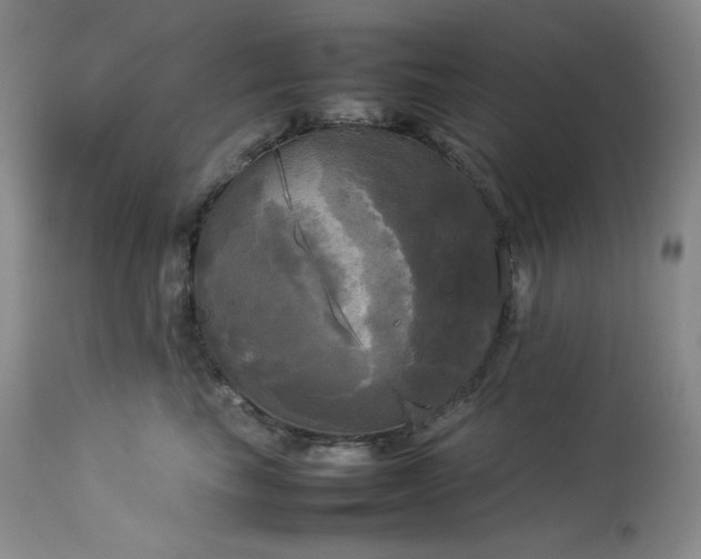 X0000114110665200910051514