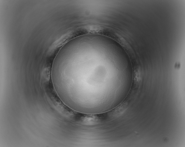 X0000114110666200910051514