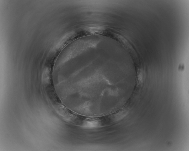 X0000114110667200910051514