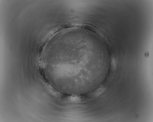 X0000114110668200910051514