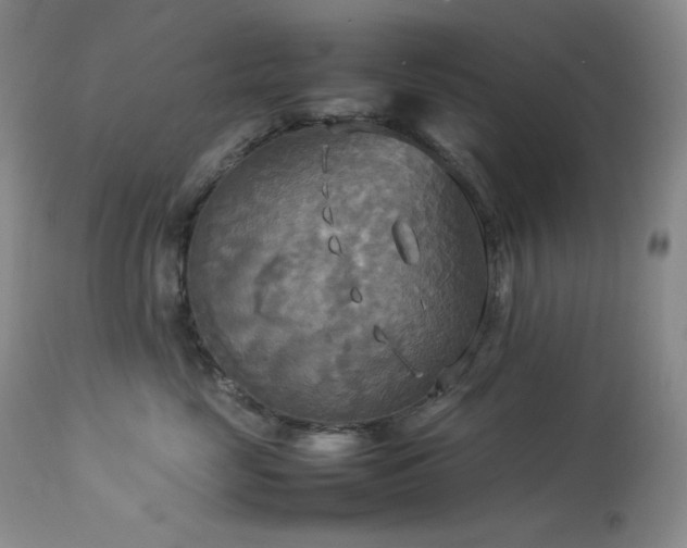 X0000114110669200910051514