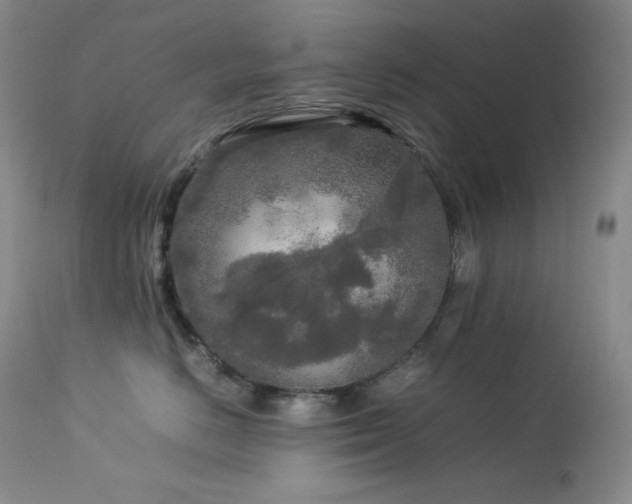 X0000114110670200910051514