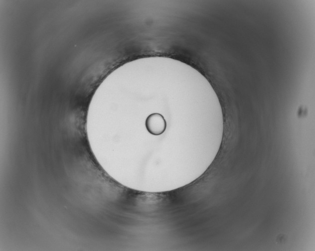 X0000114110672200910051514