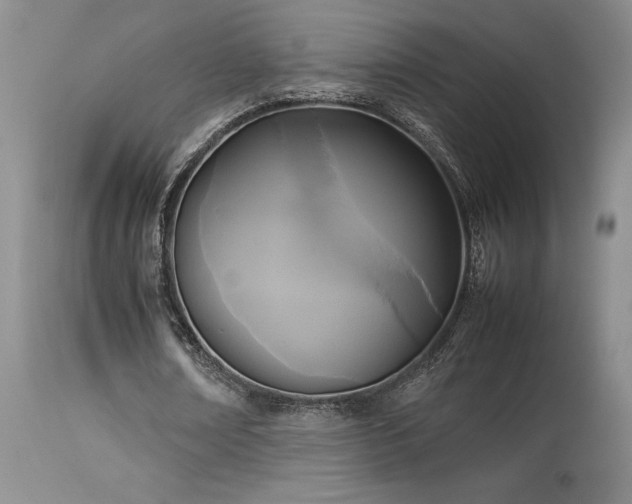 X0000114110674200910051514