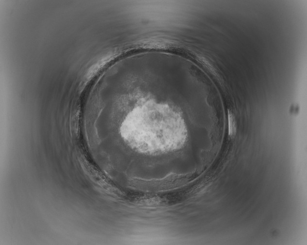 X0000114110675200910051514