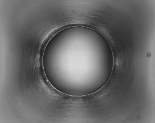 X0000114110676200910051514