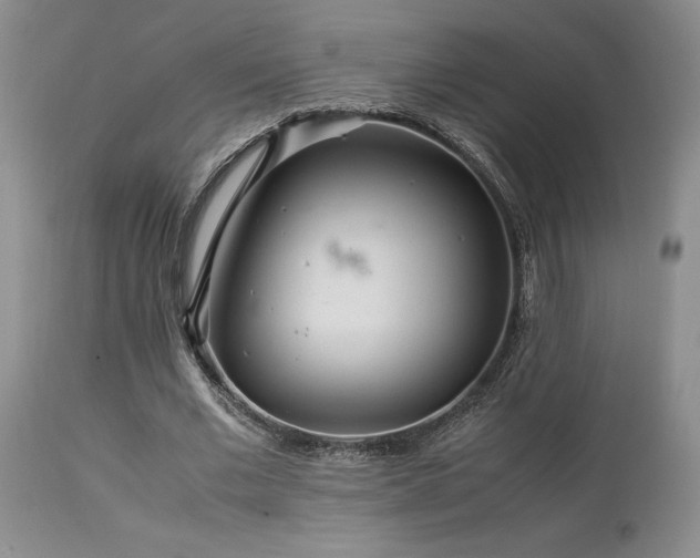 X0000114110677200910051514