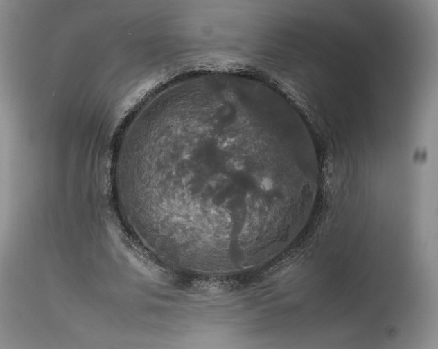 X0000114110679200910051513