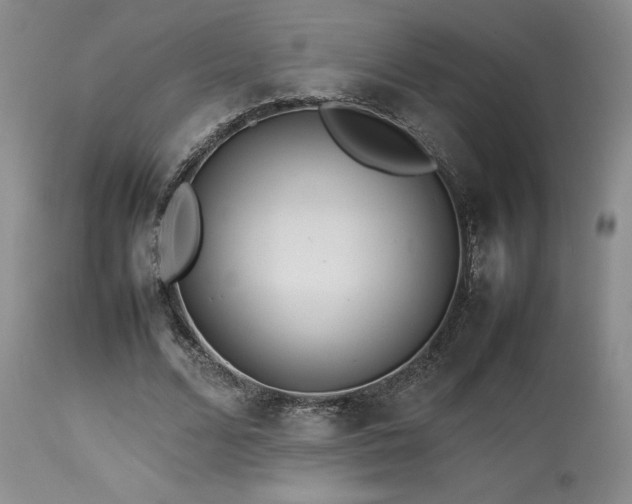 X0000114110680200910051513