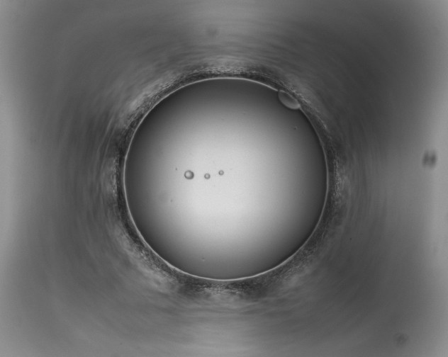 X0000114110681200910051513
