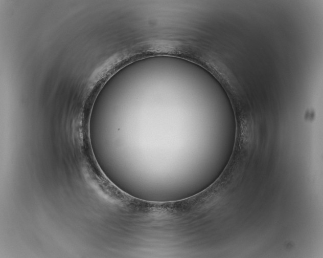 X0000114110682200910051513