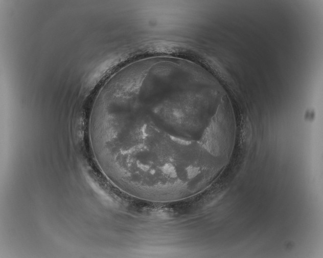 X0000114110683200910051513