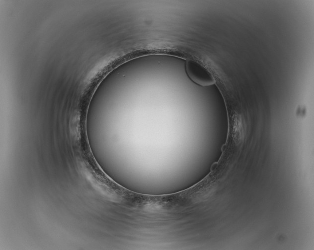 X0000114110684200910051513