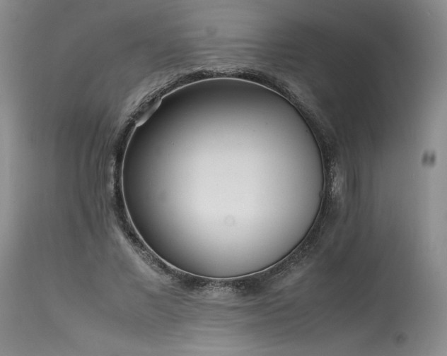 X0000114110685200910051513