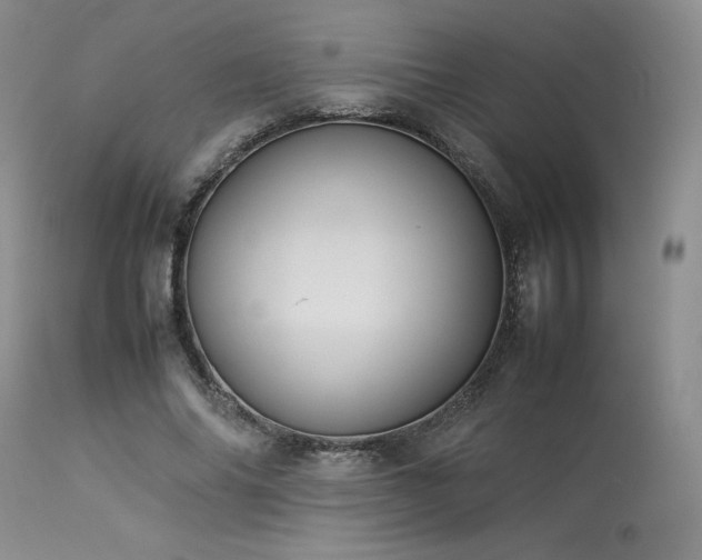 X0000114110686200910051513
