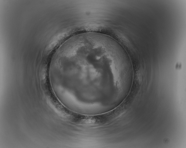 X0000114110687200910051513