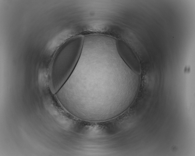 X0000114110688200910051513