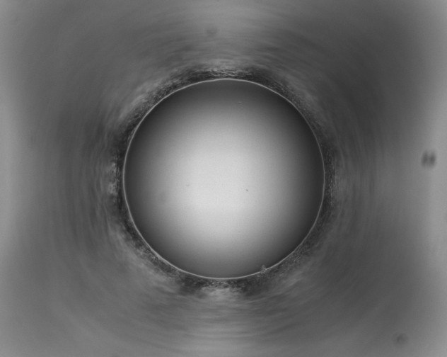 X0000114110689200910051513