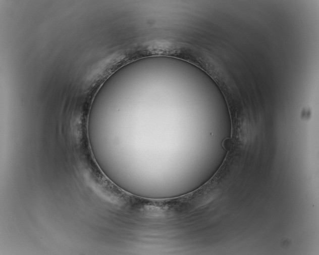 X0000114110690200910051513