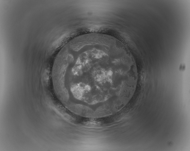 X0000114110691200910051513