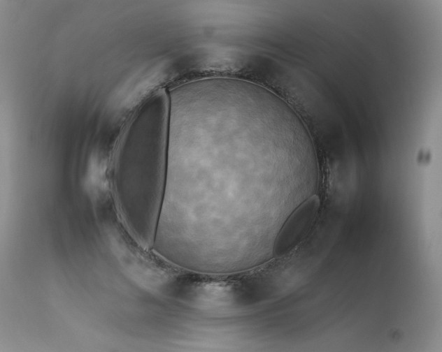 X0000114110692200910051513