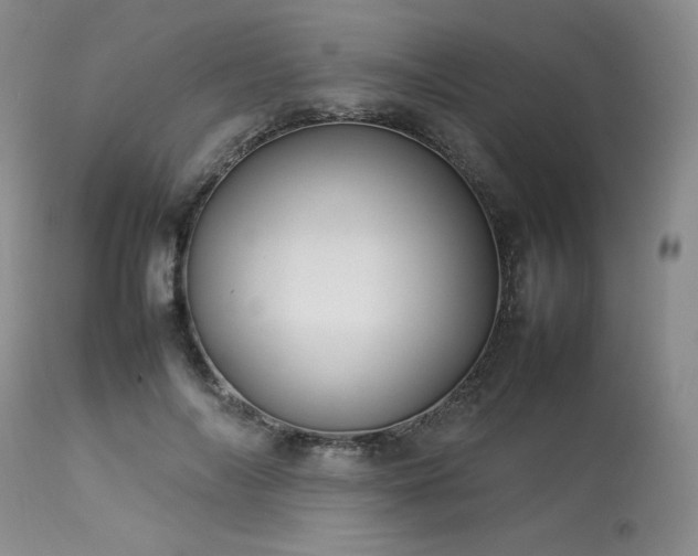 X0000114110694200910051513