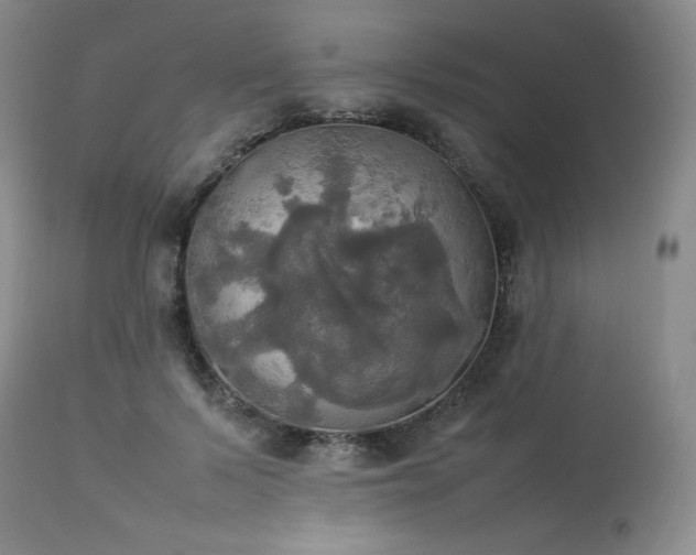 X0000114110695200910051513