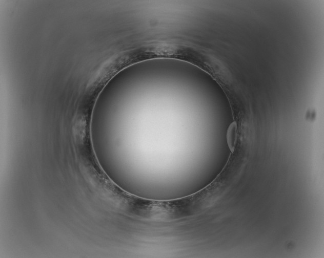 X0000114110697200910051513