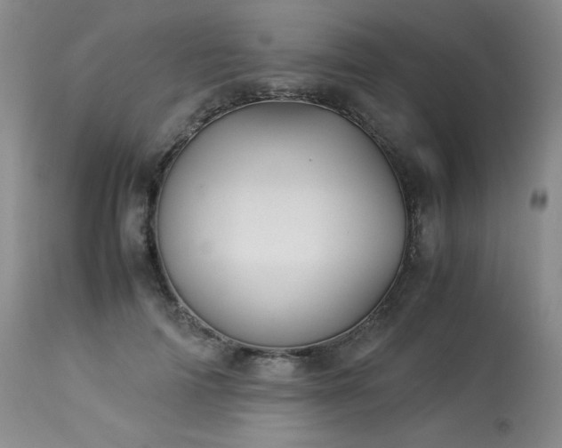 X0000114110698200910051513