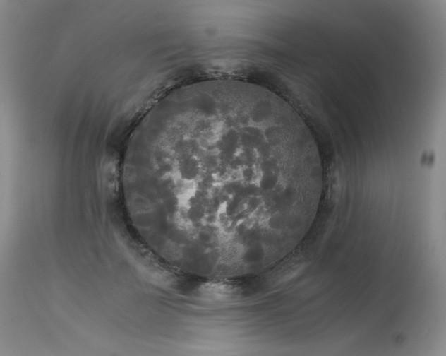 X0000114110699200910051513