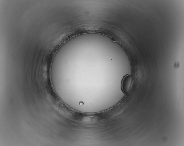X0000114110700200910051513