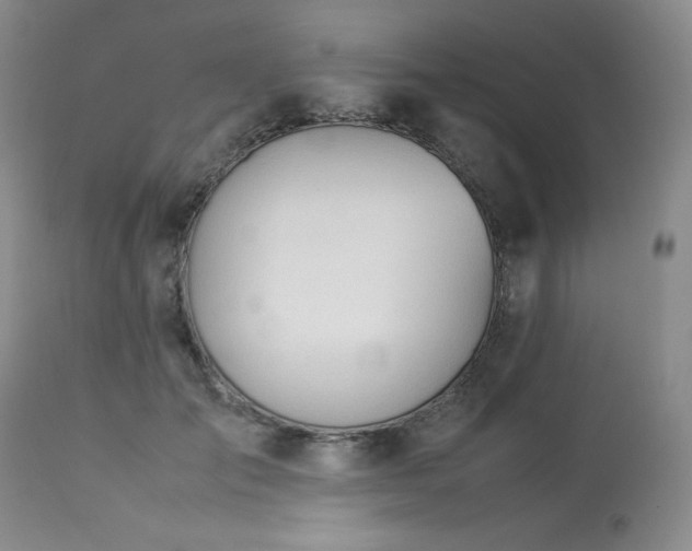 X0000114110701200910051513