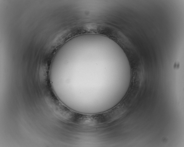 X0000114110702200910051513