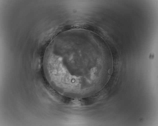 X0000114110703200910051513