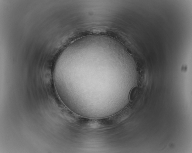 X0000114110704200910051513