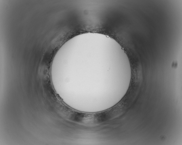 X0000114110705200910051513