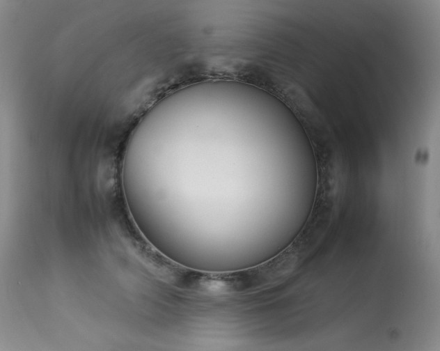 X0000114110706200910051513