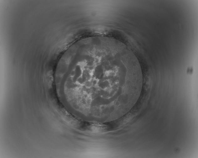 X0000114110707200910051513