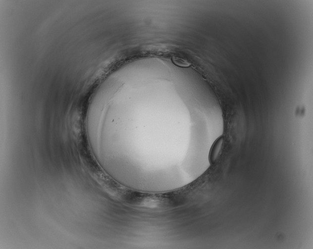 X0000114110708200910051513