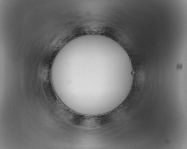 X0000114110709200910051513