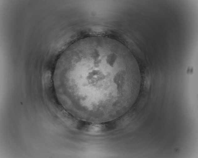 X0000114110711200910051513