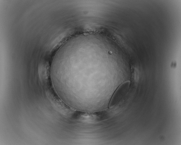 X0000114110712200910051513