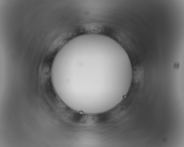 X0000114110713200910051513