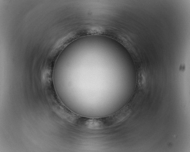 X0000114110714200910051513
