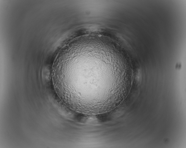X0000114110715200910051513
