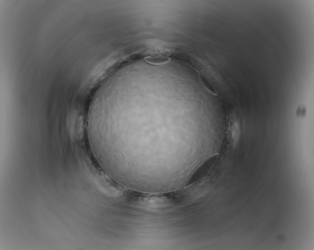 X0000114110716200910051513