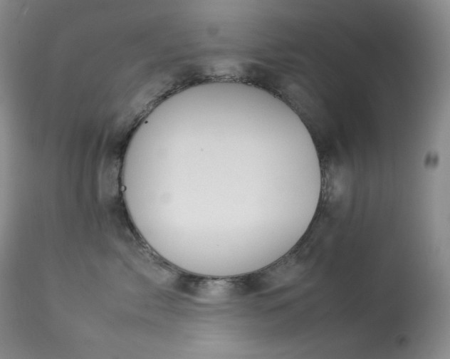 X0000114110717200910051513