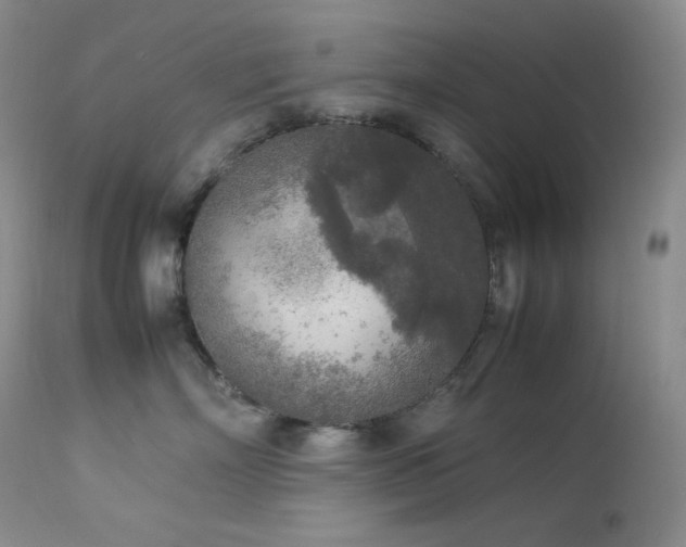 X0000114110718200910051513