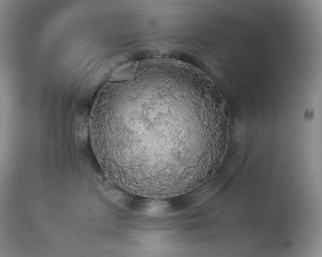 X0000114110719200910051513