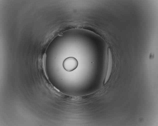 X0000114110720200910051513
